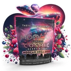 Mega Dose Mushroom Gummies - Berry Blast