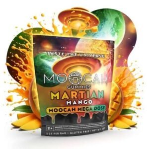 Mega Dose Mushroom Gummies - Mango