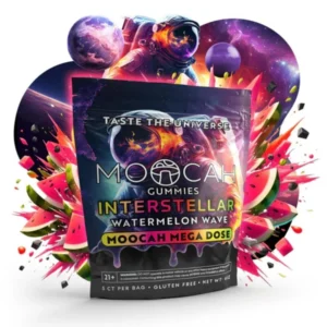 Mega Dose Mushroom Gummies - Watermelon Wave